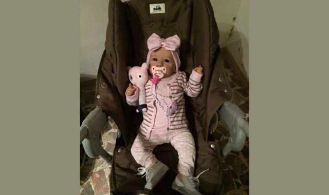 Reborn, la bambola che sostituisce il neonato: Per chi non pu essere mamma